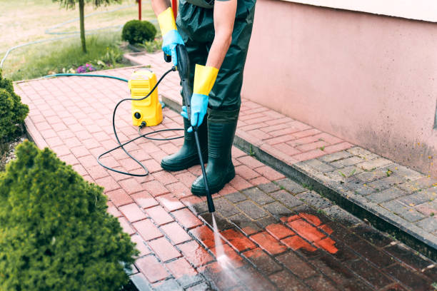Best Pressure Washing Company Near Me  in Saranac, MI