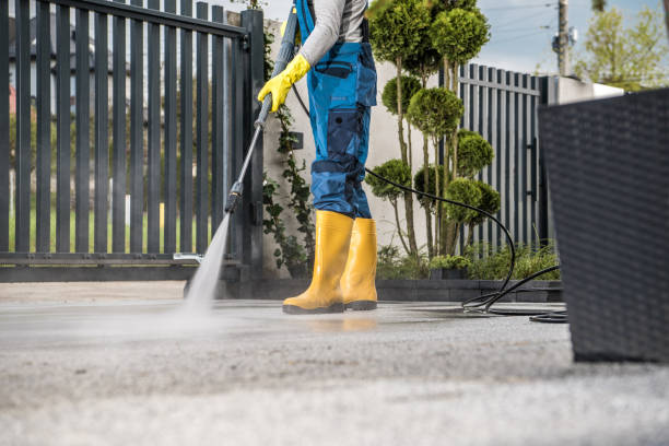 Best Local Pressure Washing Services  in Saranac, MI