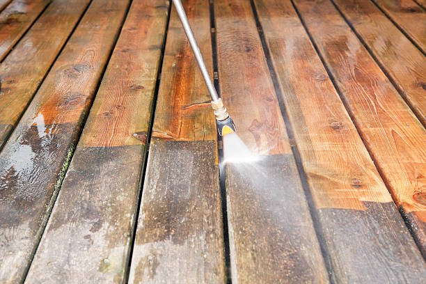 Best Exterior Home Cleaning  in Saranac, MI