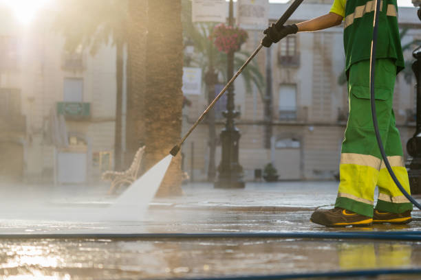 Best Roof Power Washing Services  in Saranac, MI